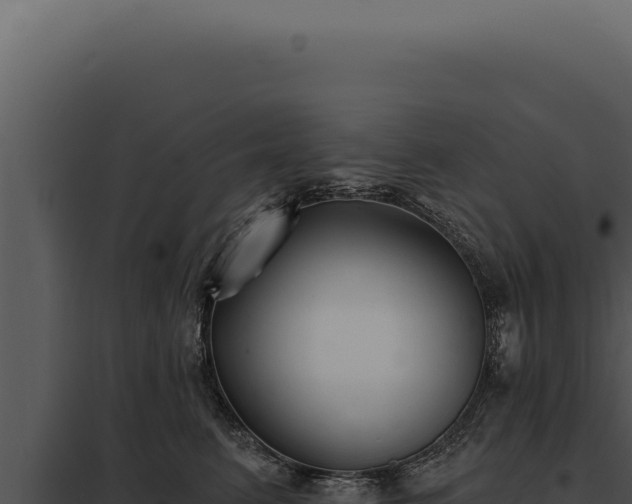 X0000097970615200804011722