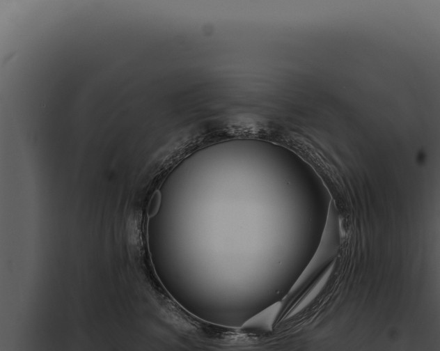 X0000097970616200804011722