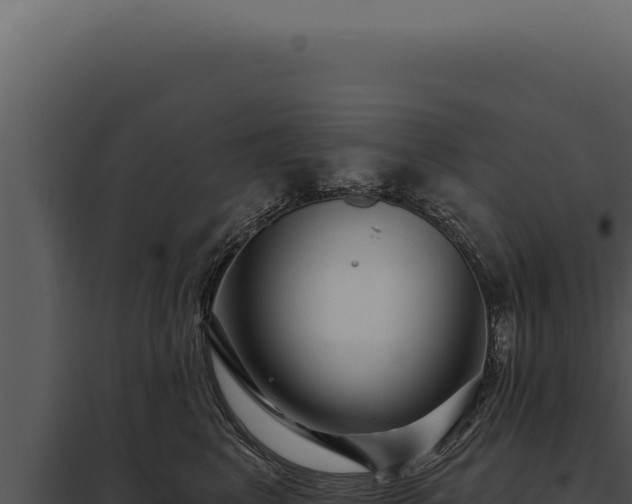 X0000097970617200804011722