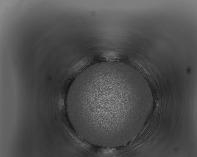 X0000097970618200804011722