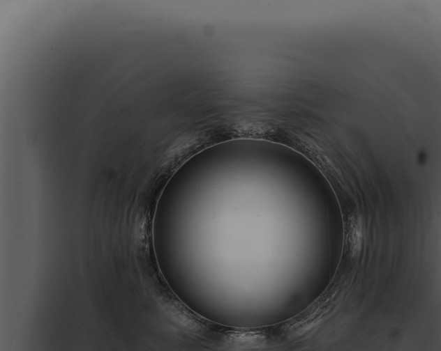 X0000097970619200804011722