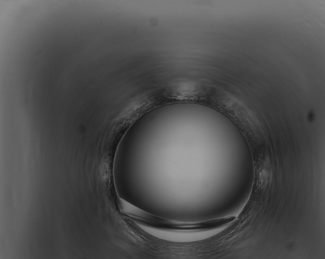 X0000097970620200804011722