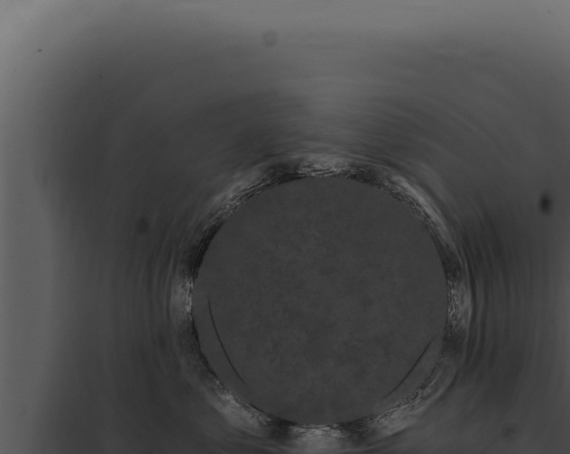 X0000097970621200804011722