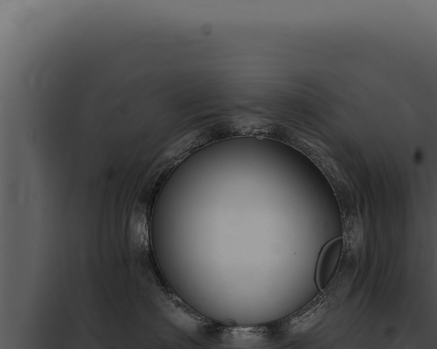 X0000097970622200804011722