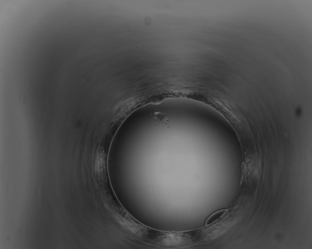 X0000097970623200804011722