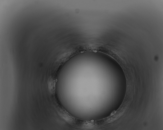 X0000097970624200804011722