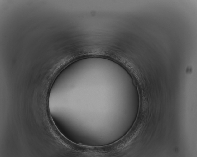 X0000097970625200804011721