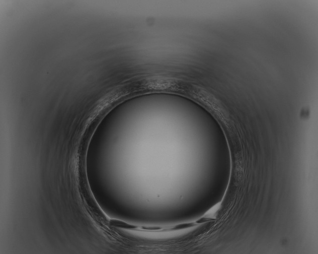 X0000097970626200804011721