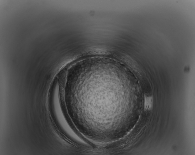 X0000097970627200804011721