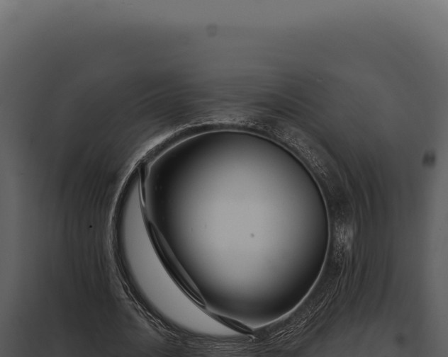 X0000097970628200804011721