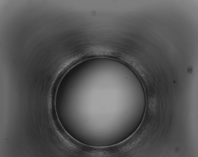 X0000097970629200804011721