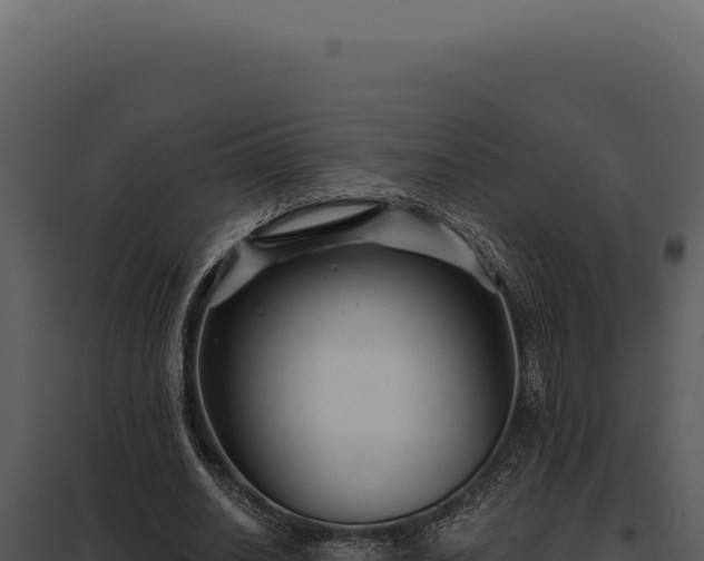 X0000097970630200804011721