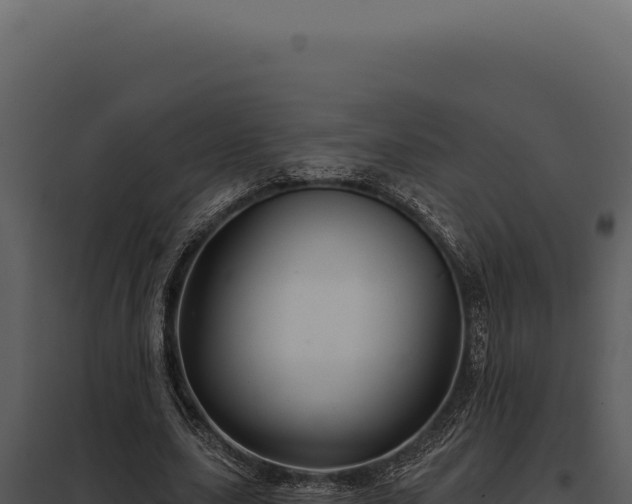 X0000097970631200804011721