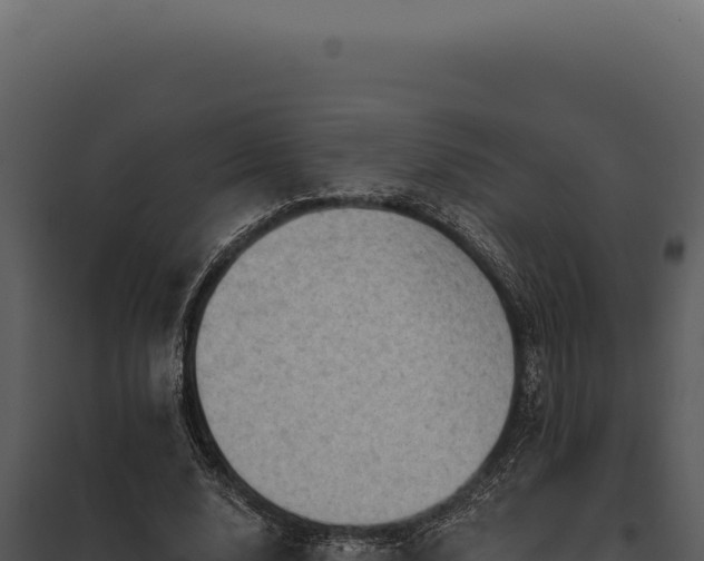 X0000097970632200804011721