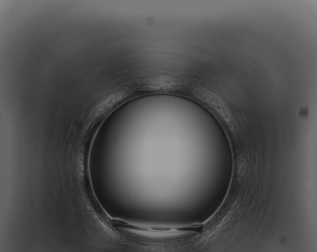 X0000097970633200804011721