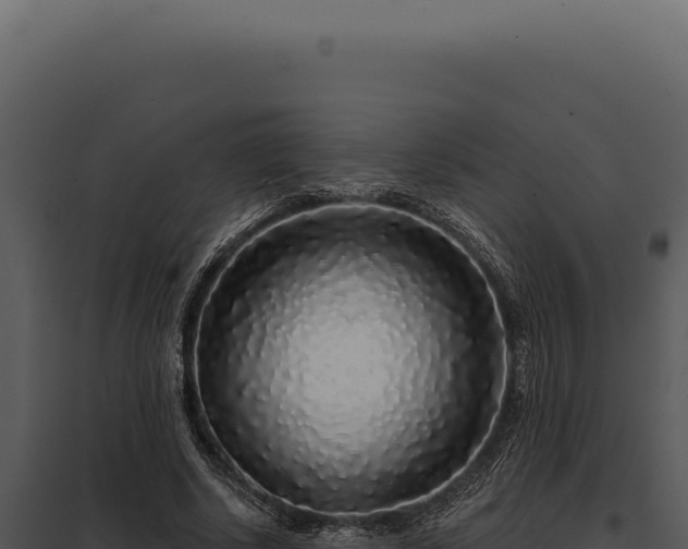 X0000097970634200804011721