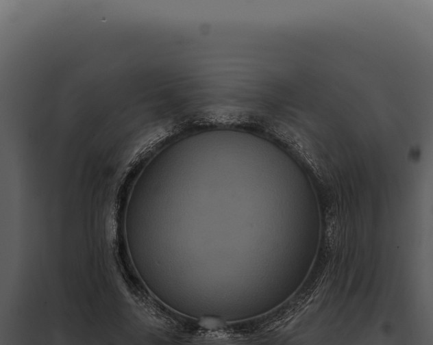 X0000097970635200804011721