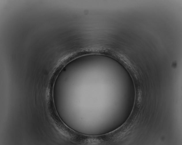 X0000097970636200804011721