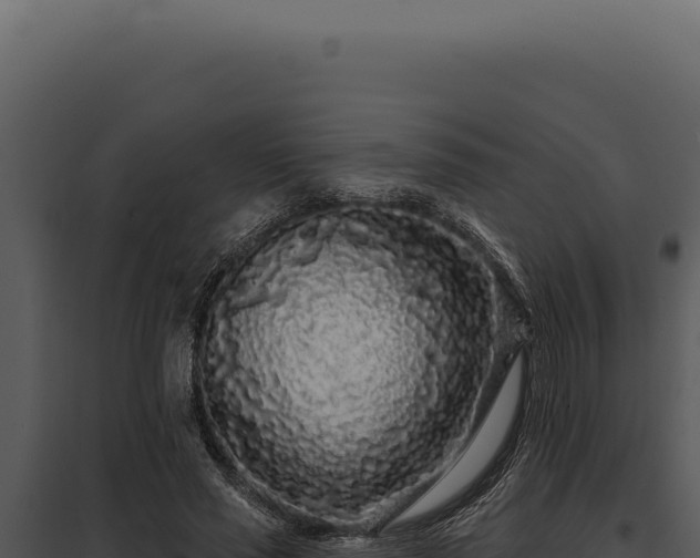 X0000097970637200804011721