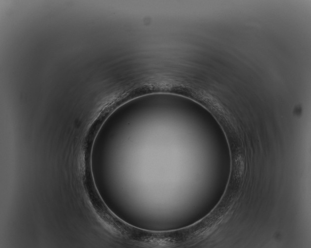 X0000097970638200804011721