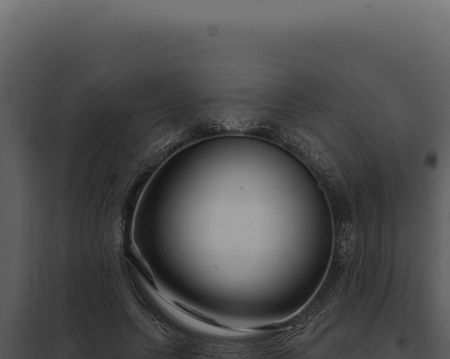 X0000097970639200804011721