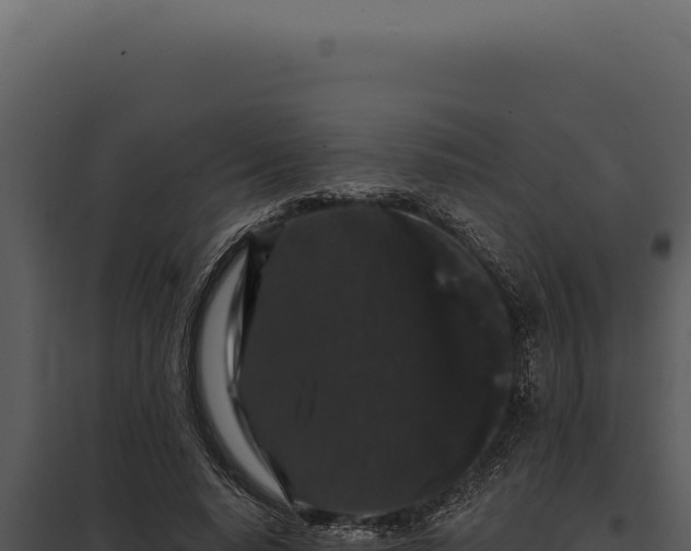 X0000097970640200804011721