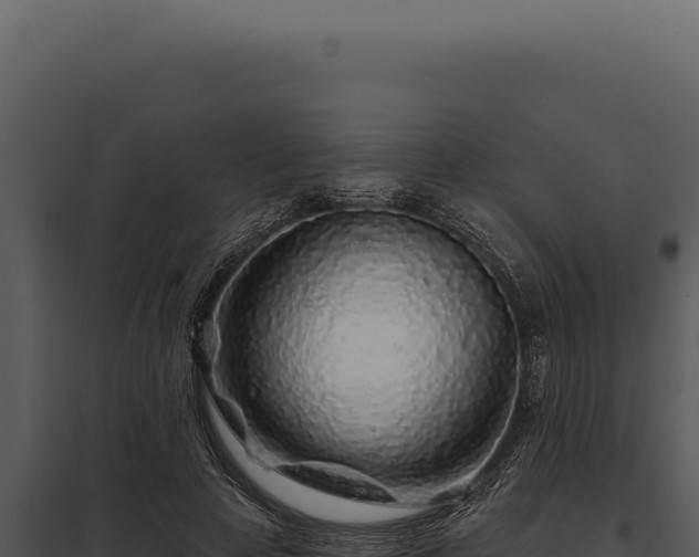 X0000097970641200804011721