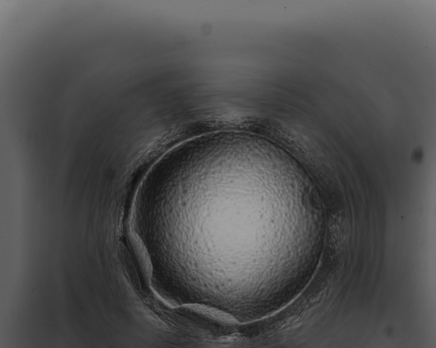 X0000097970642200804011721