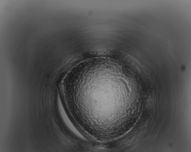 X0000097970643200804011721