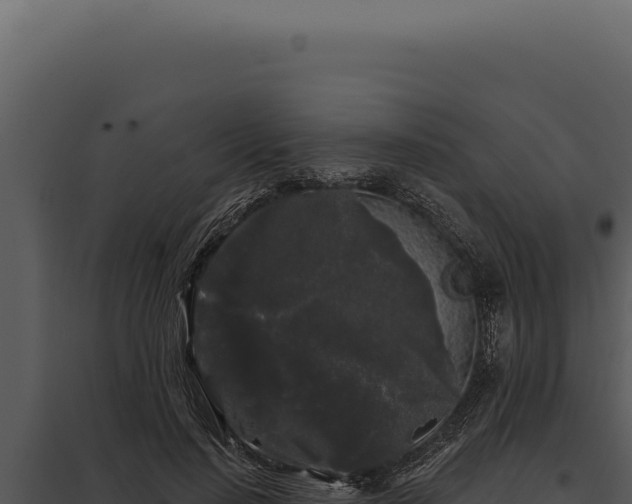 X0000097970644200804011721