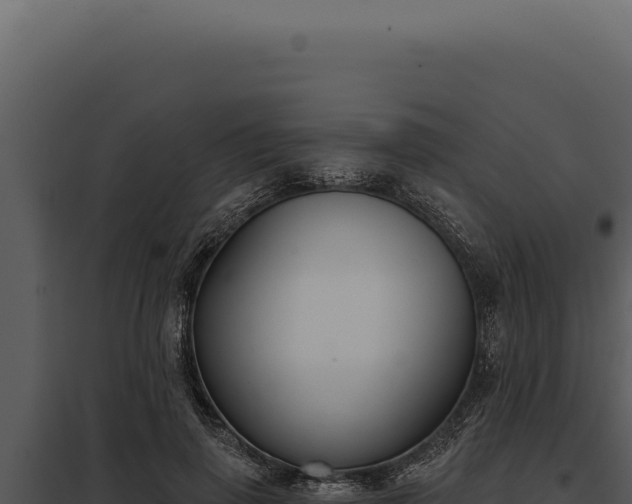 X0000097970645200804011721