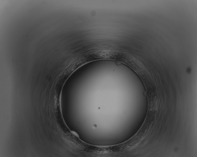 X0000097970646200804011722