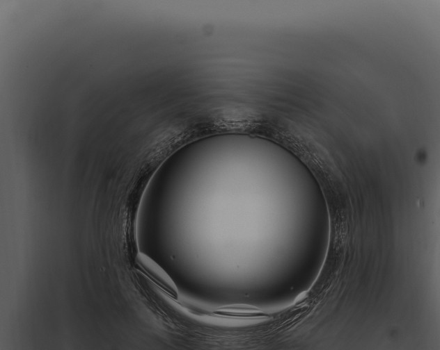 X0000097970647200804011722