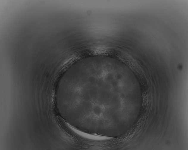 X0000097970648200804011722