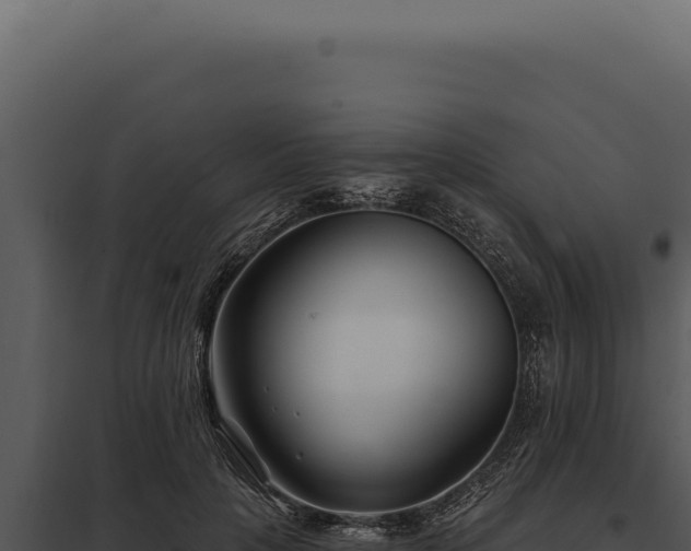 X0000097970649200804011722