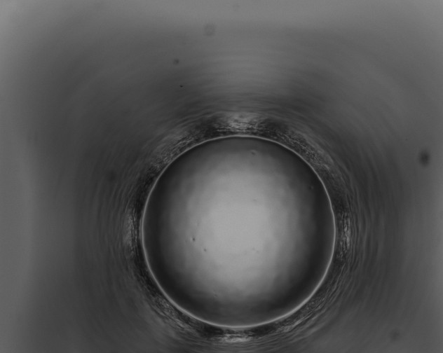 X0000097970651200804011722