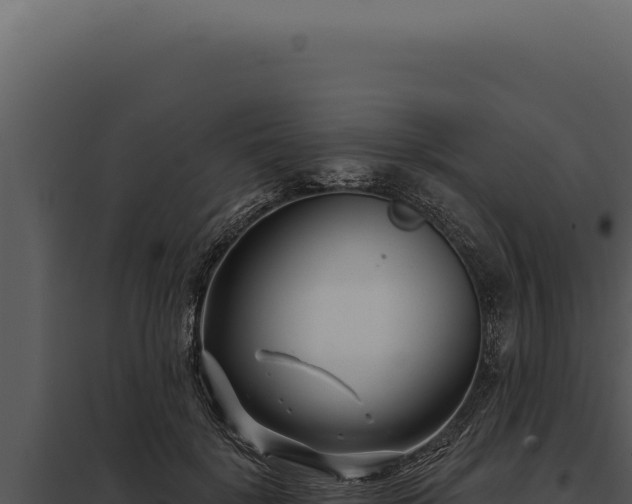 X0000097970652200804011722