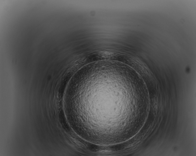 X0000097970653200804011722