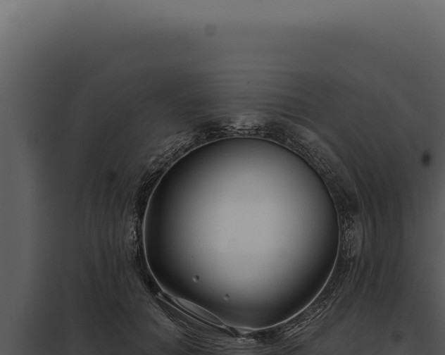 X0000097970654200804011722