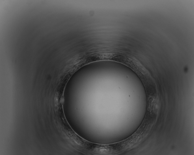 X0000097970655200804011722