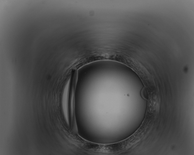 X0000097970656200804011722