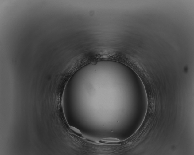 X0000097970657200804011722