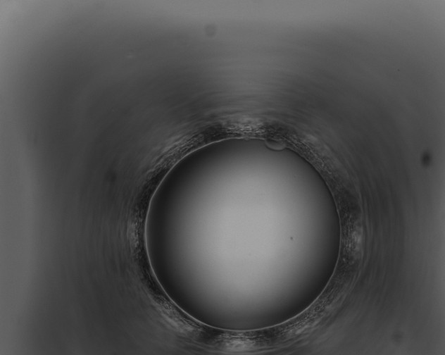 X0000097970658200804011722