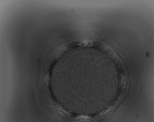 X0000097970659200804011722