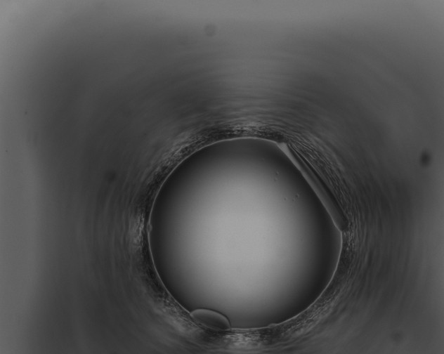 X0000097970660200804011722