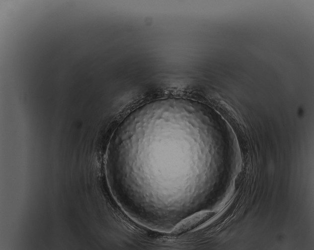 X0000097970661200804011722