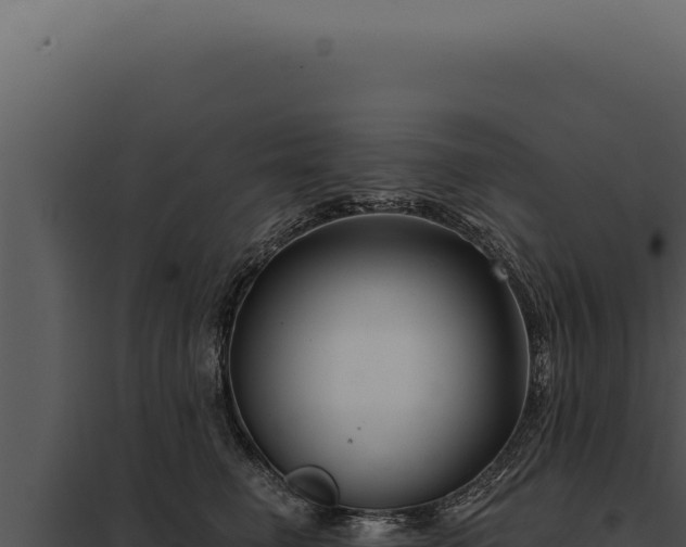 X0000097970662200804011722