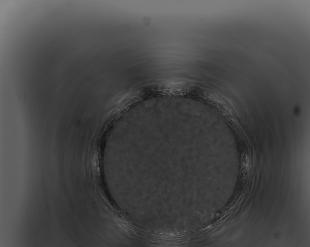 X0000097970663200804011722