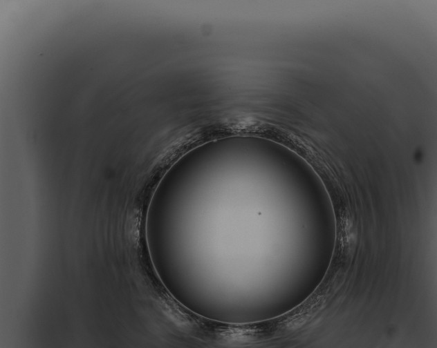 X0000097970664200804011722