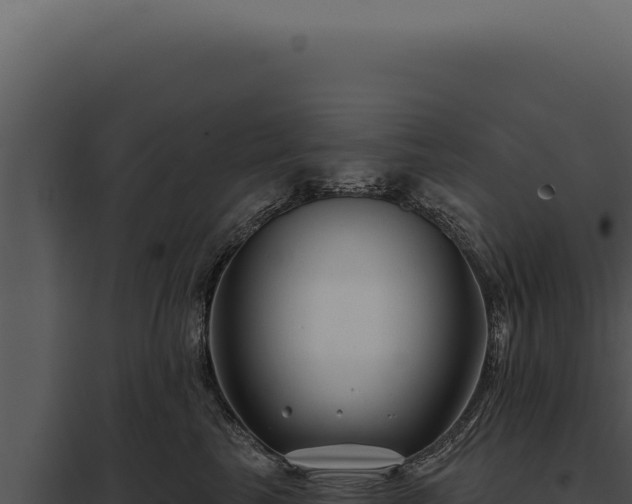 X0000097970665200804011722